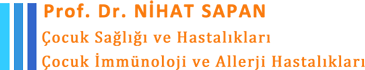 Nihat Sapan
